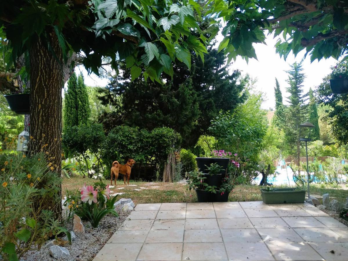 Chambre Independante Piscine, Parc, Cuisine... Brézilhac Εξωτερικό φωτογραφία